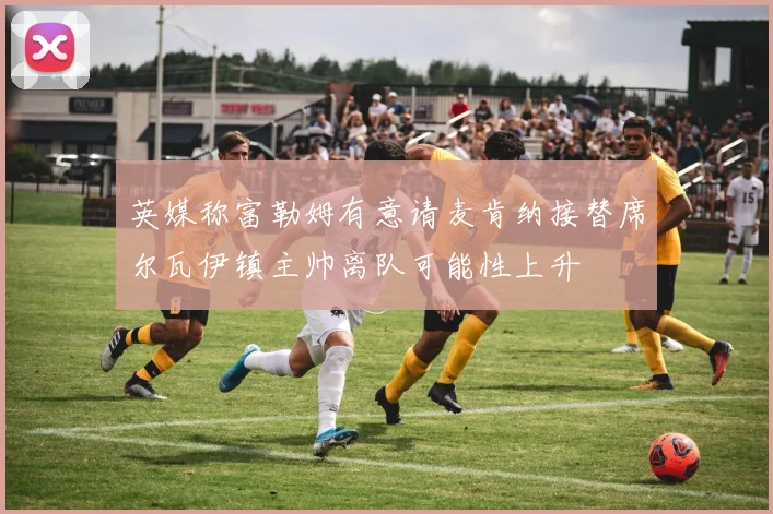 英媒称富勒姆有意请麦肯纳接替席尔瓦伊镇主帅离队可能性上升